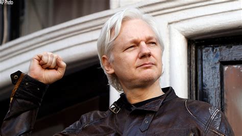 assange wikileaks
